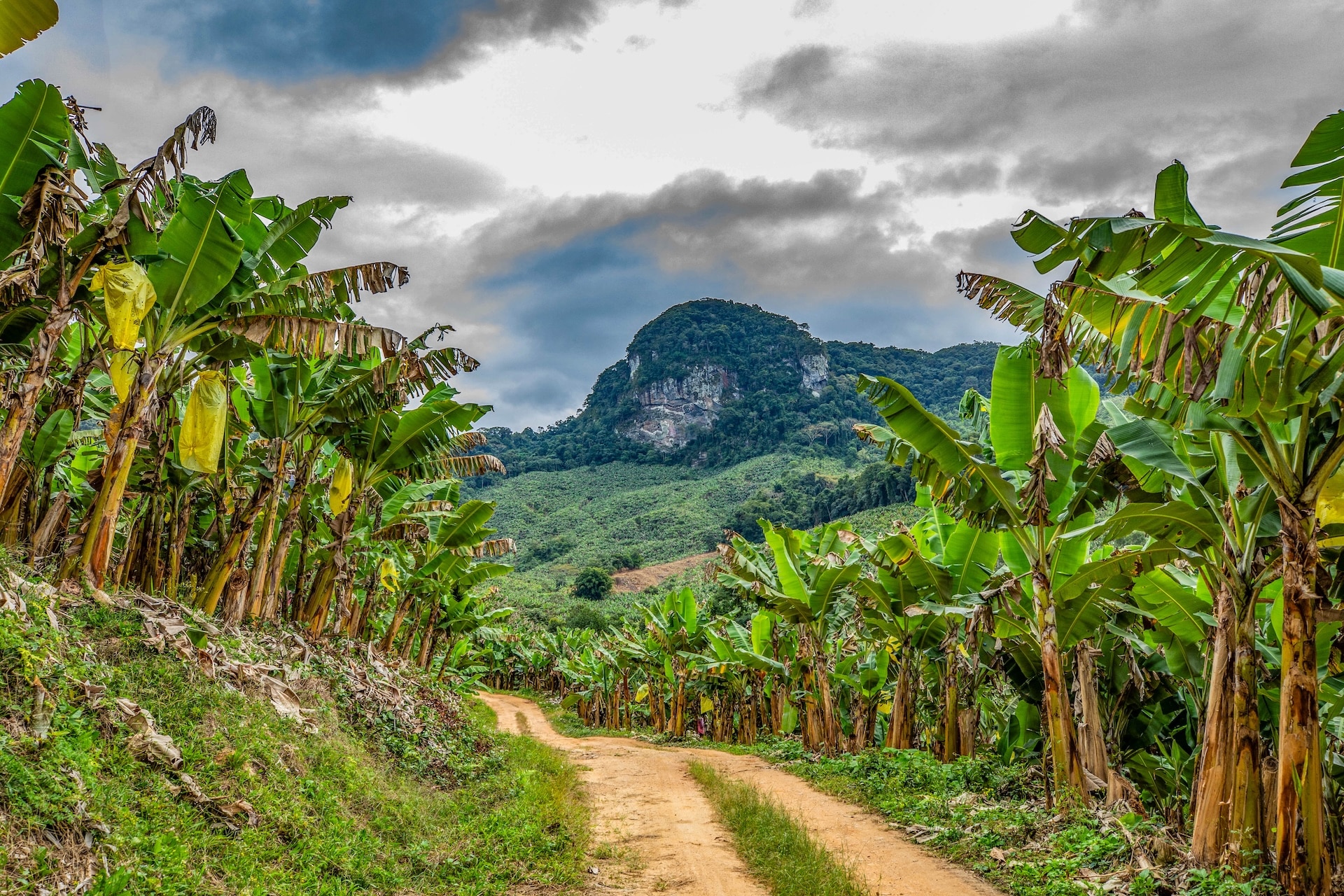 Jacupiranga_PedradoLencol-3