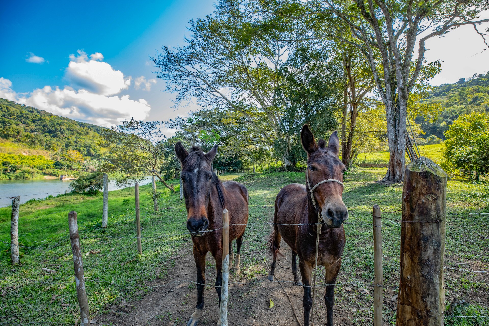 Eldorado_FazendaPassagem-20