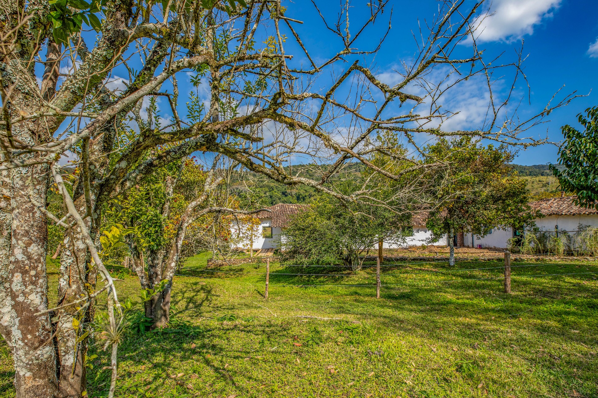 Eldorado_FazendaPassagem-25