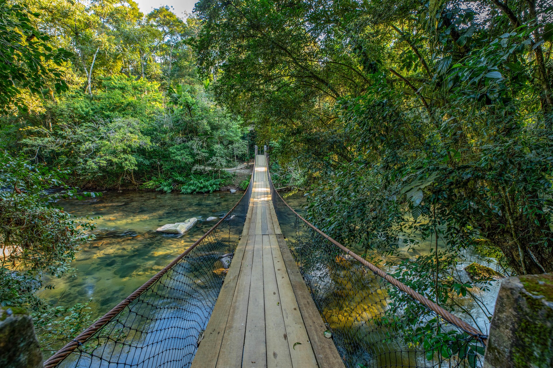 Iporanga_ReservaBetary-1