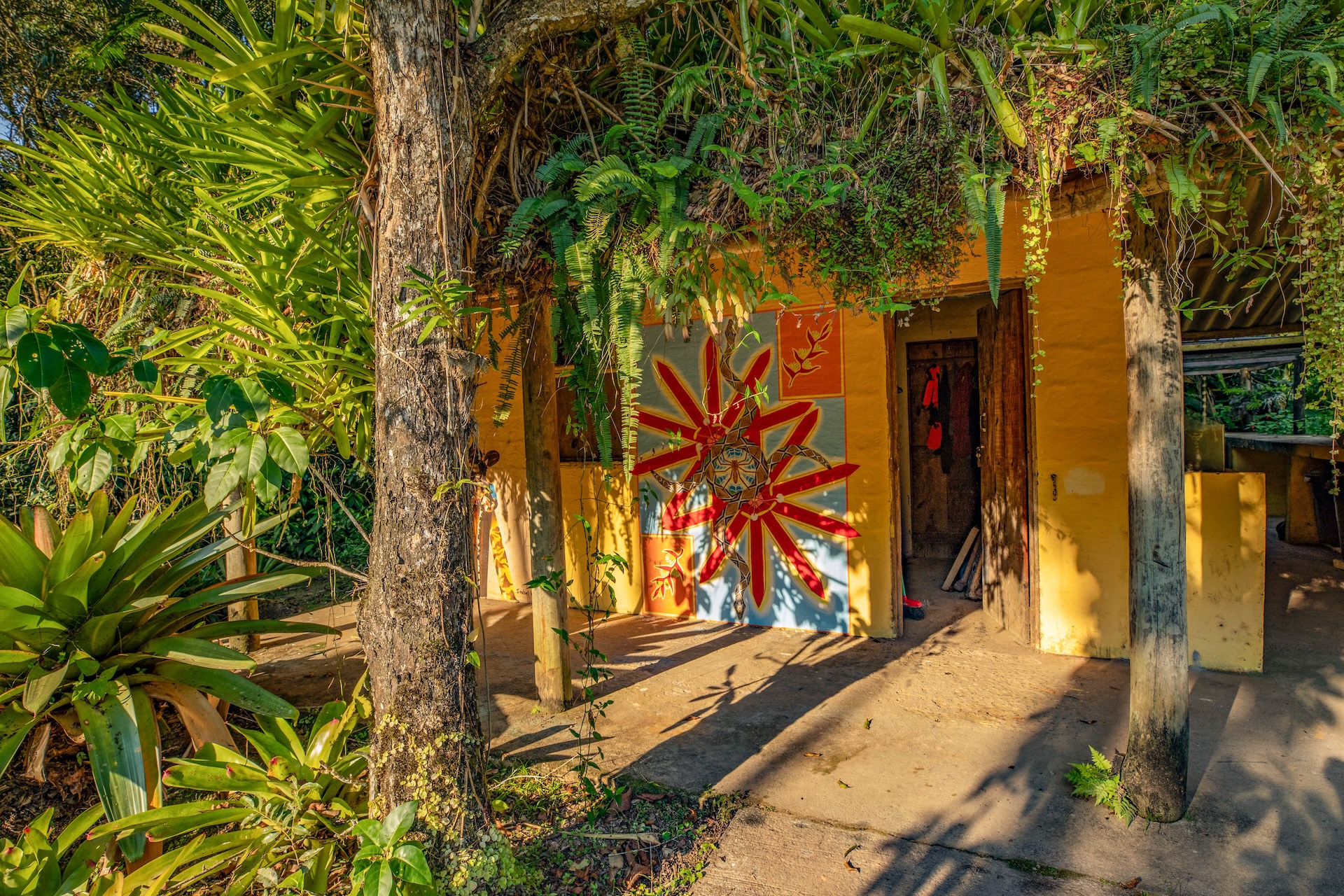 Iporanga_ReservaBetary-10