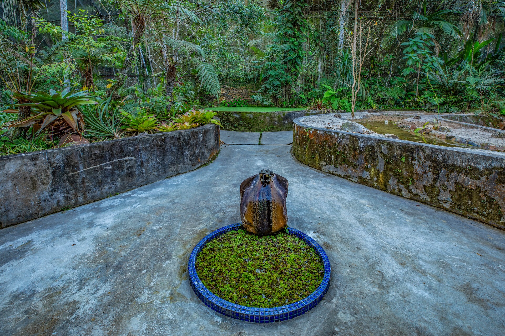 Iporanga_ReservaBetary-14