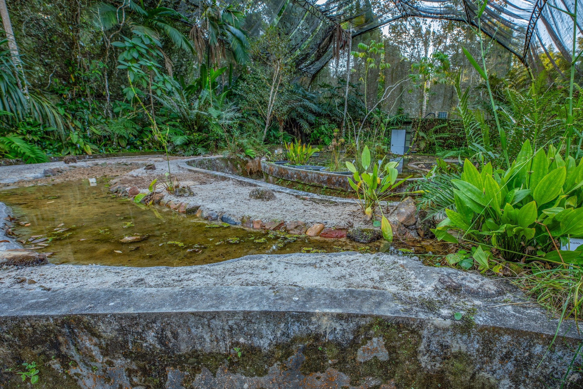 Iporanga_ReservaBetary-15