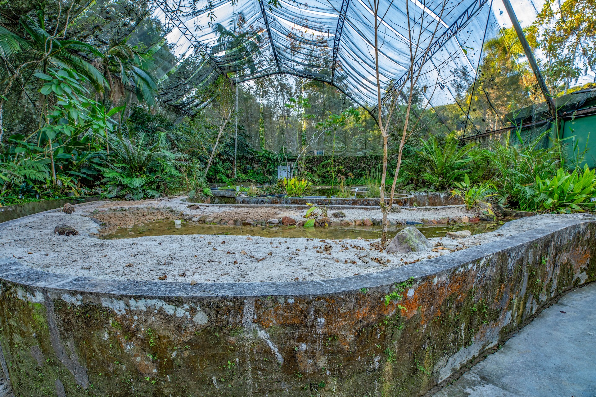 Iporanga_ReservaBetary-16