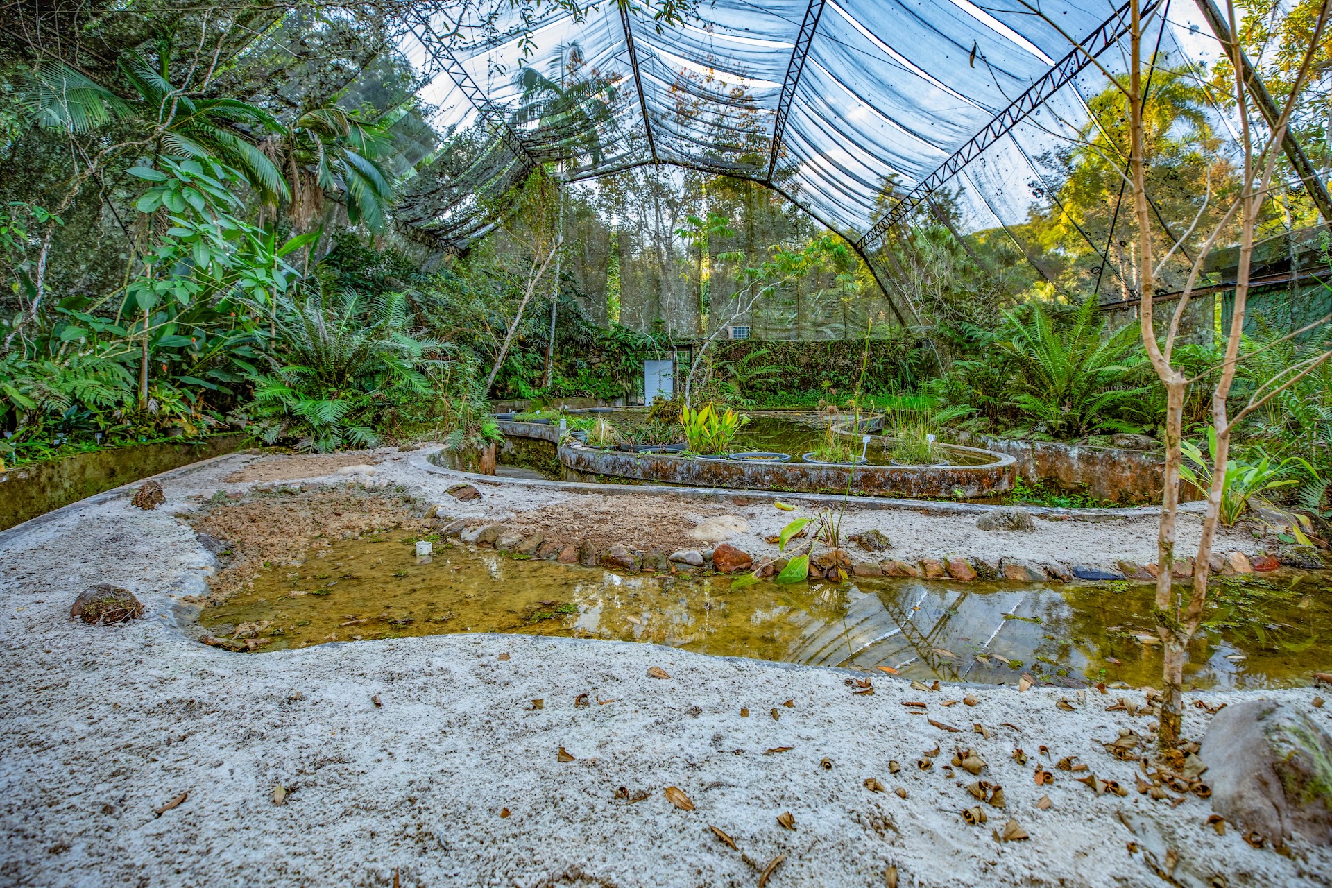 Iporanga_ReservaBetary-17