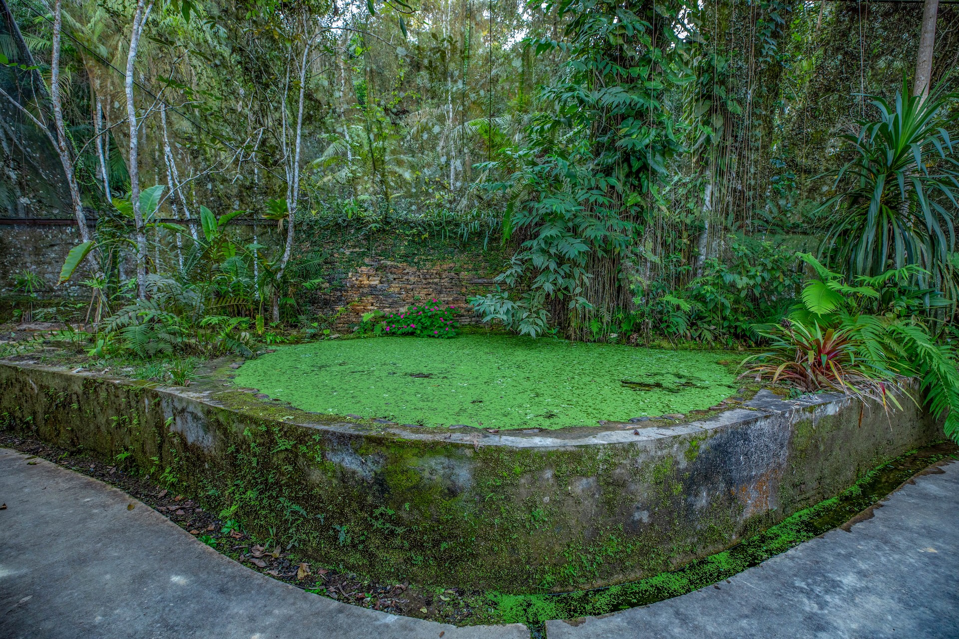 Iporanga_ReservaBetary-18