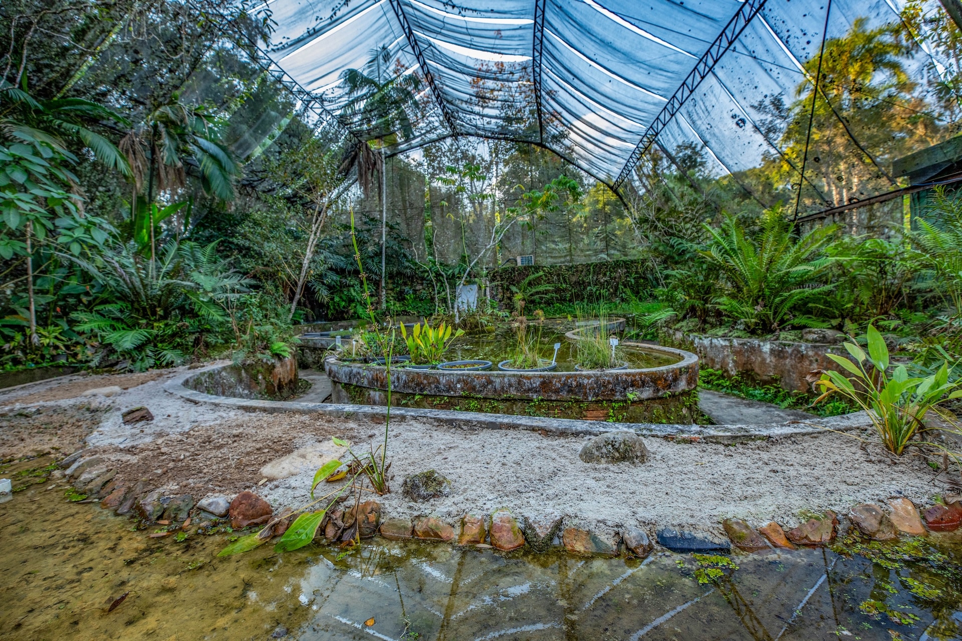 Iporanga_ReservaBetary-19