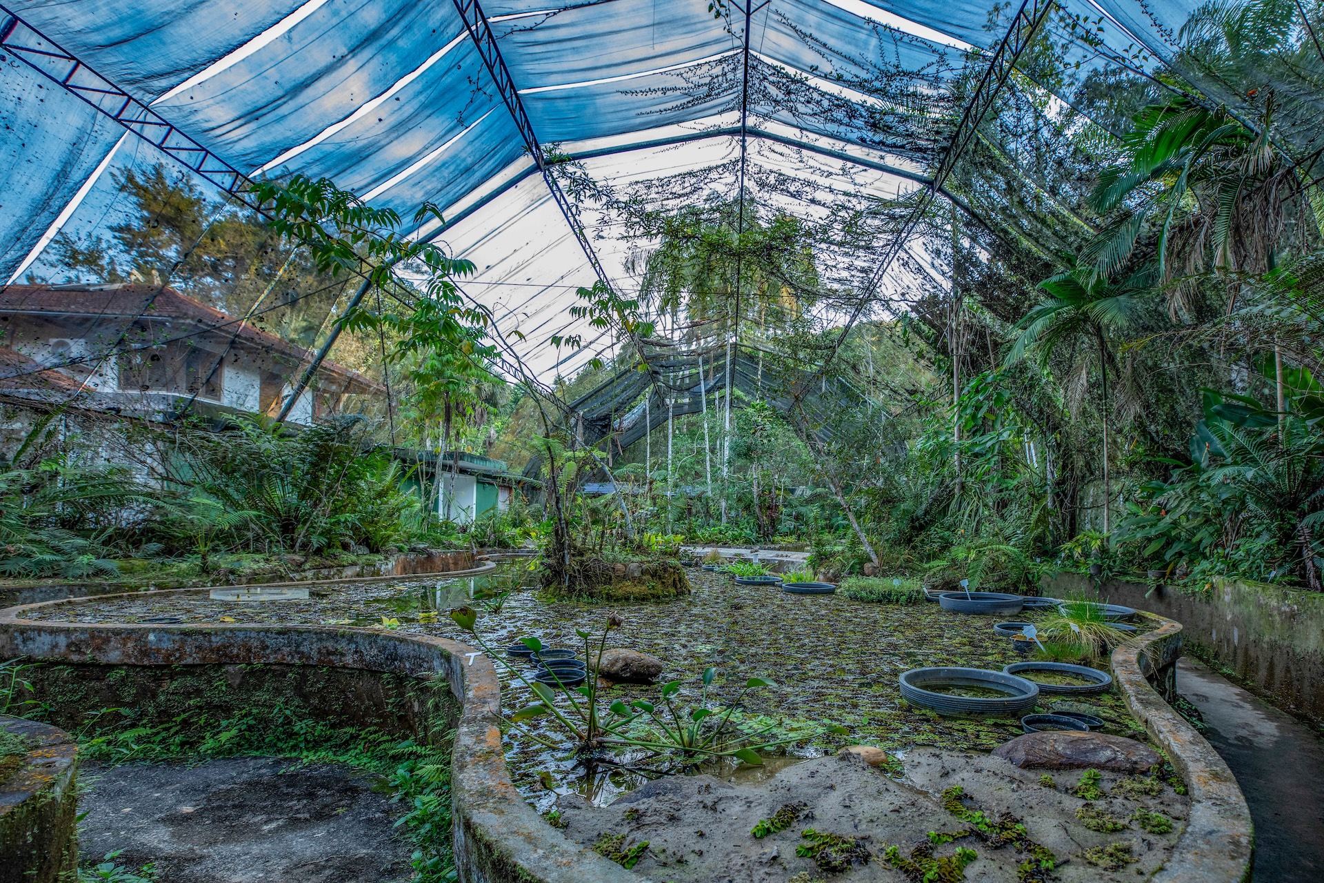 Iporanga_ReservaBetary-20