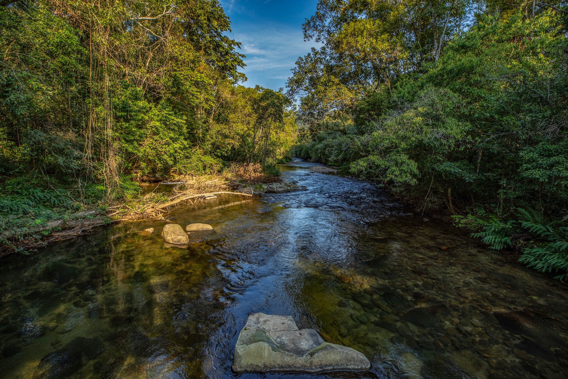 Iporanga_ReservaBetary-3