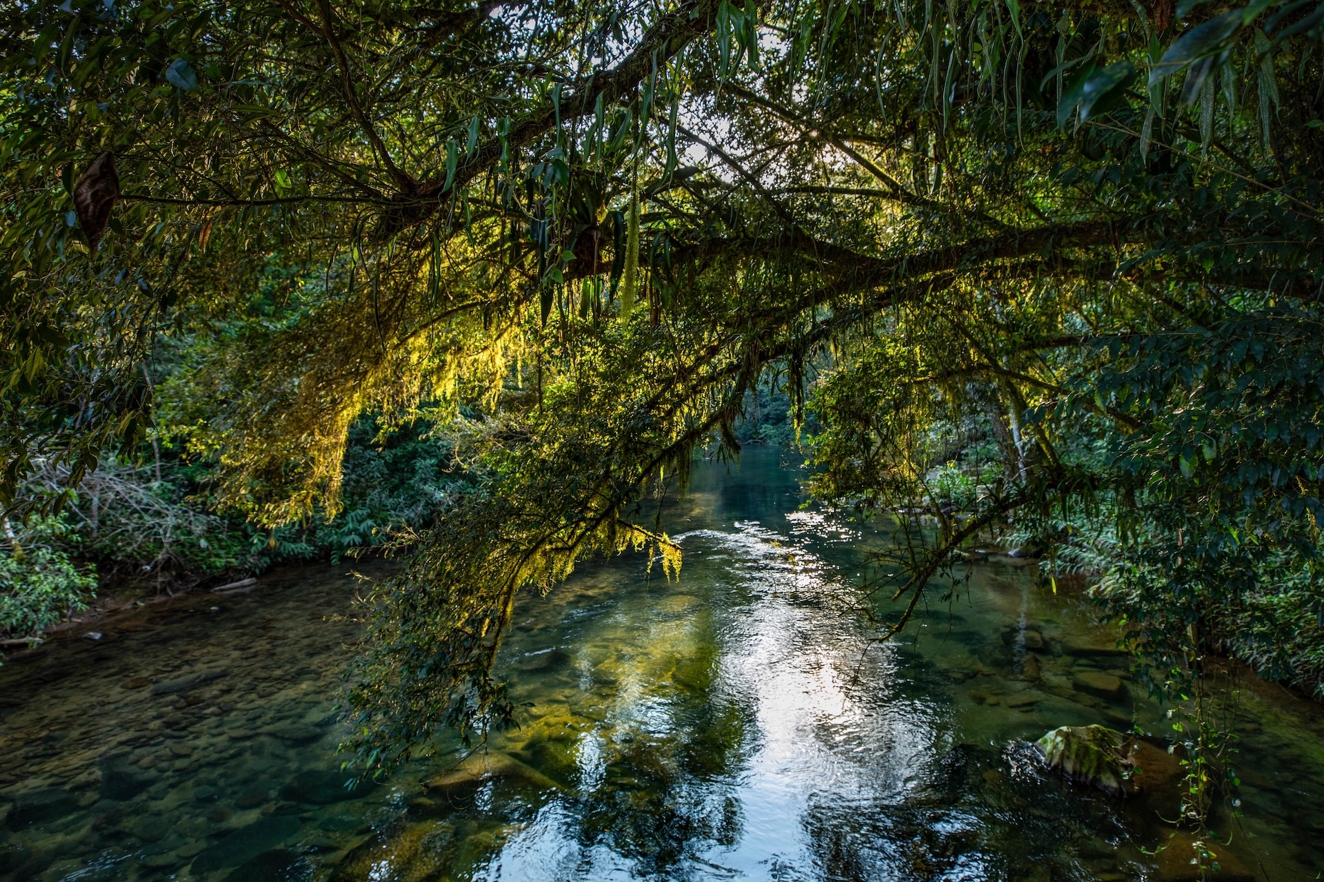 Iporanga_ReservaBetary-4