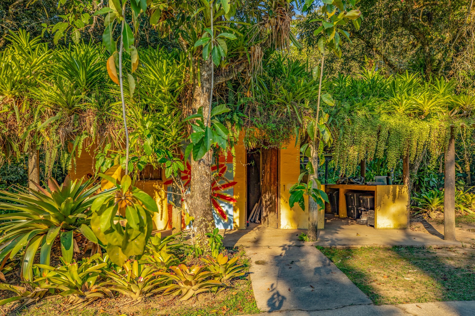 Iporanga_ReservaBetary-8