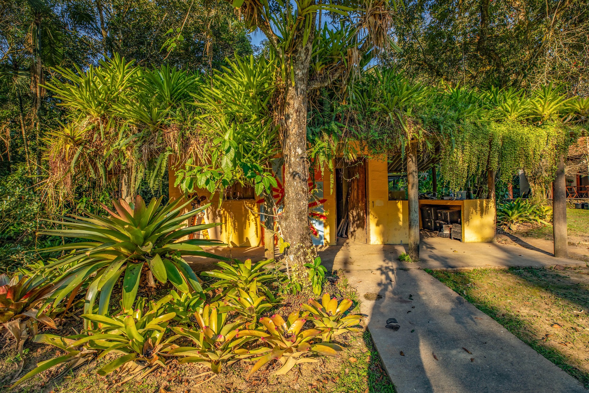 Iporanga_ReservaBetary-9