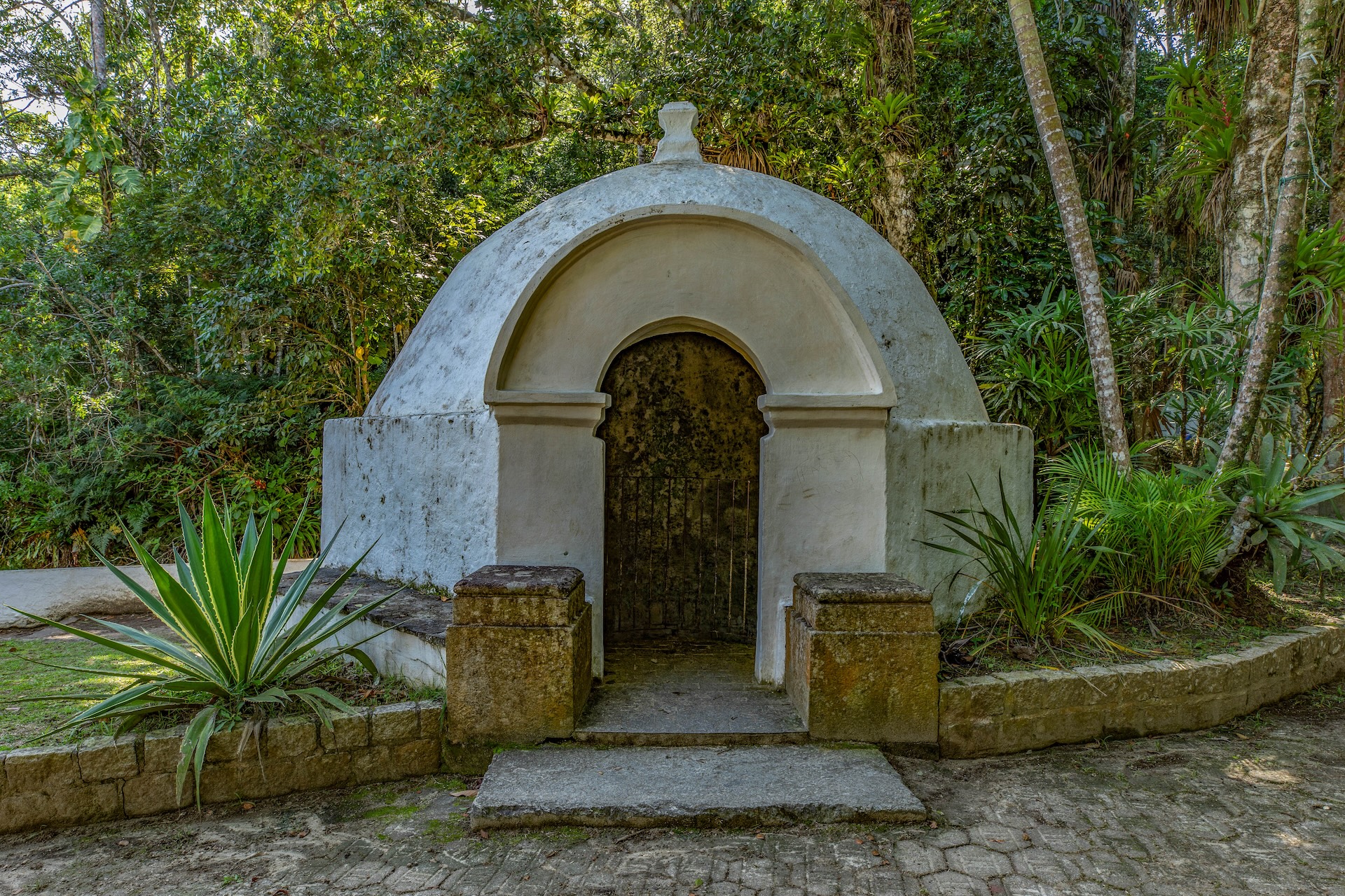 I1A4825TRATADA-BAIXA