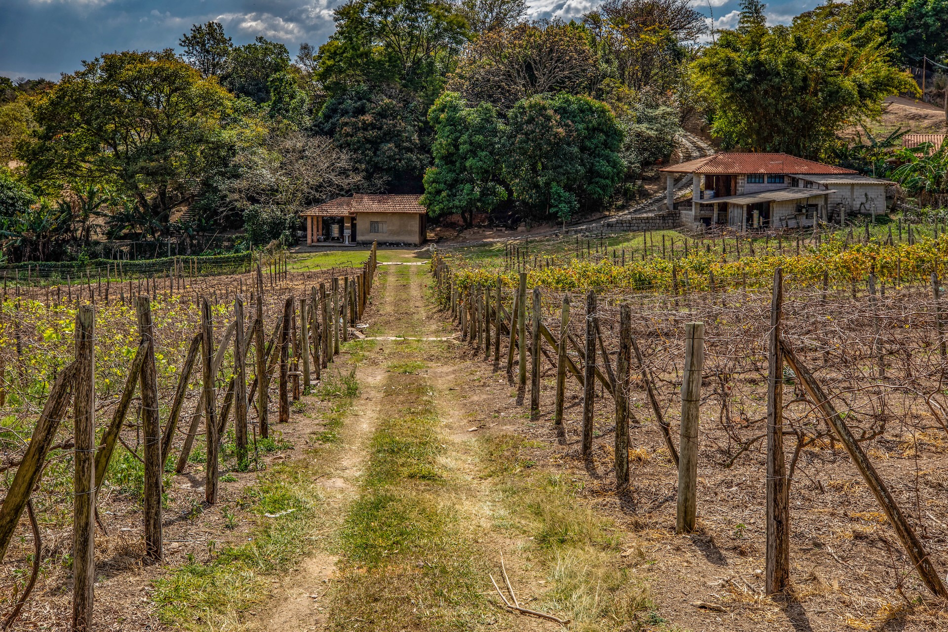 Valinhos_VinicolaChaoDePedra-10