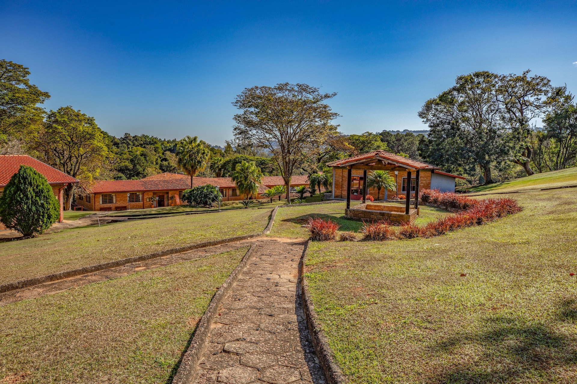 Vinhedo_EspacoSiloe-9