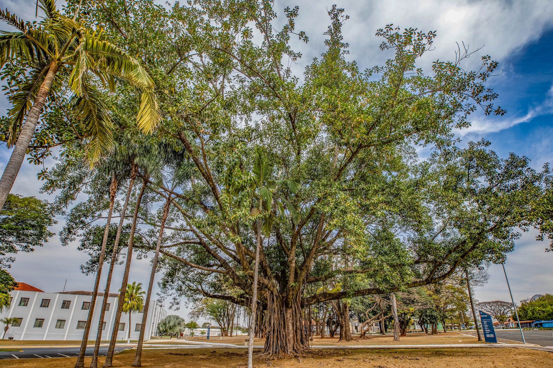 Hortolandia_UNASP-11