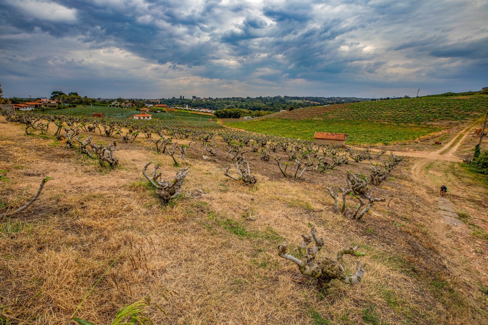 Valinhos_ChacaraSaoLuiz-2