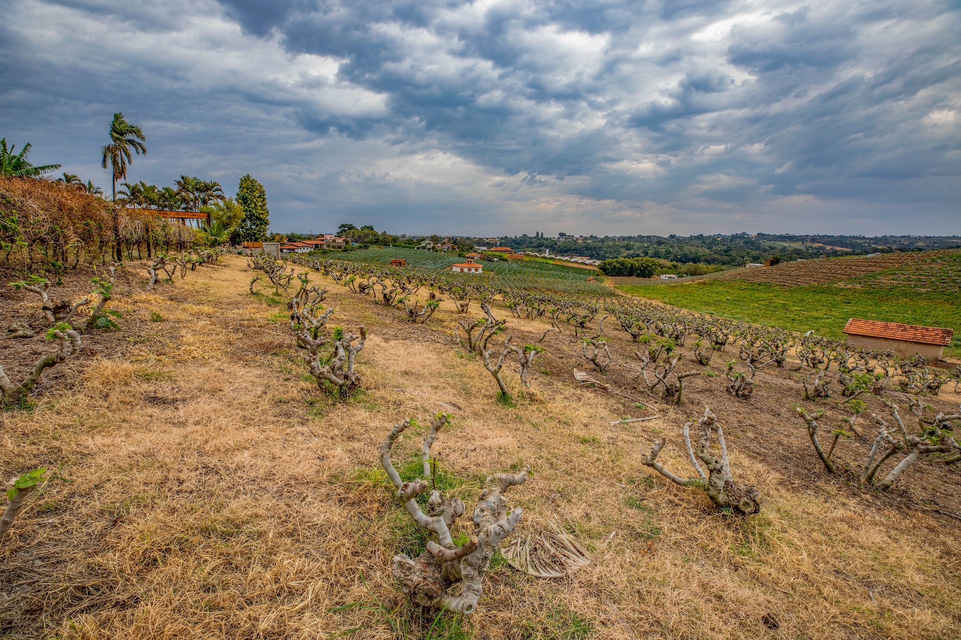 Valinhos_ChacaraSaoLuiz-3