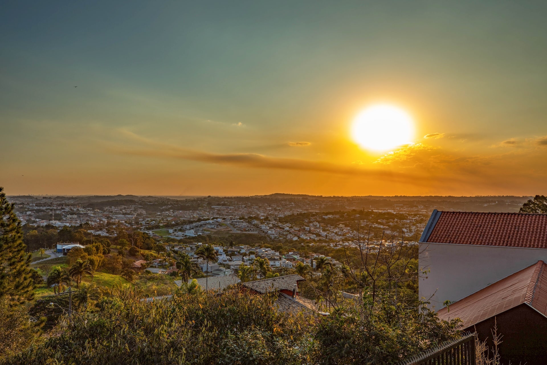 Vinhedo_MirantedoCristo-1