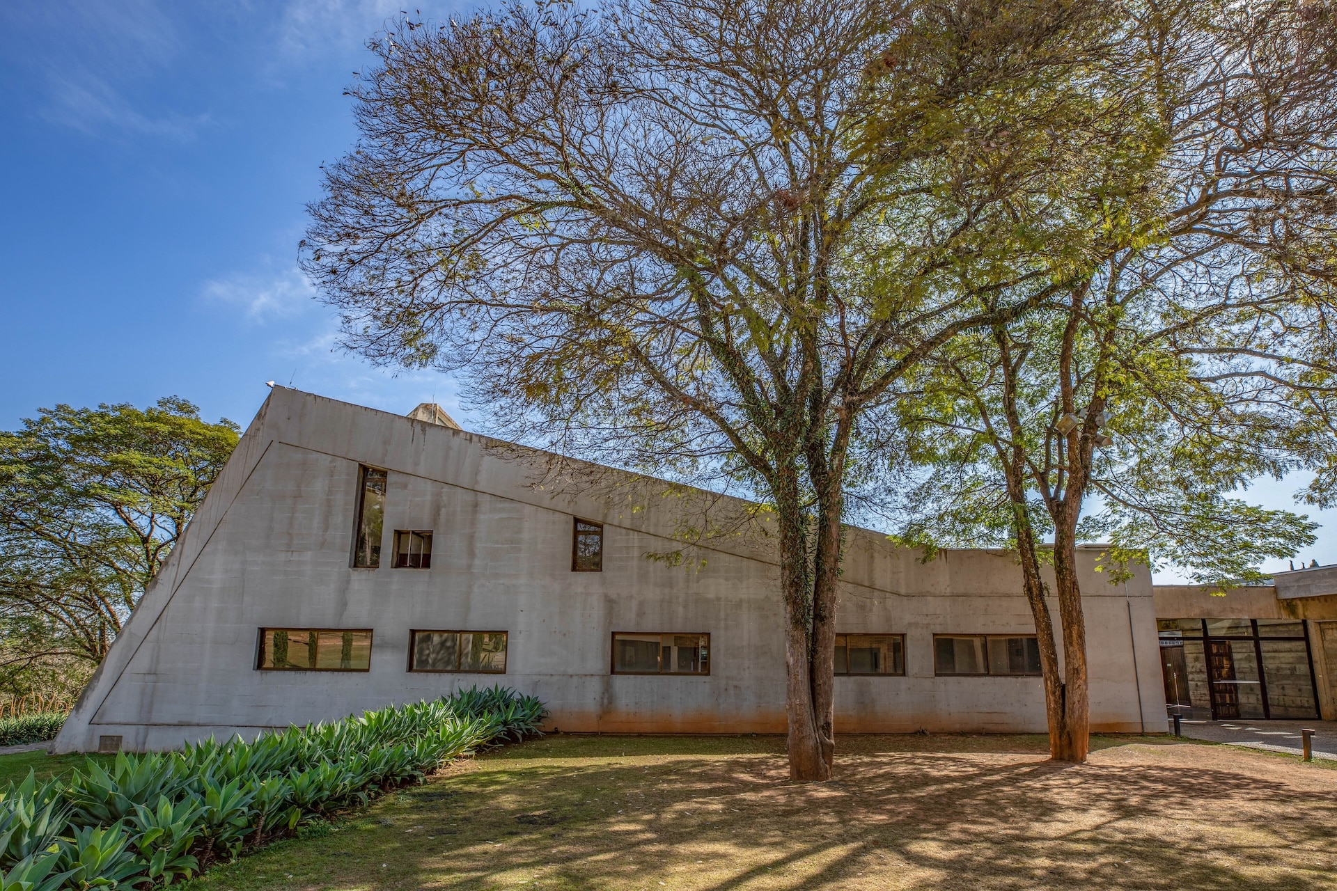 Vinhedo_MosteirodeSaoBento-14