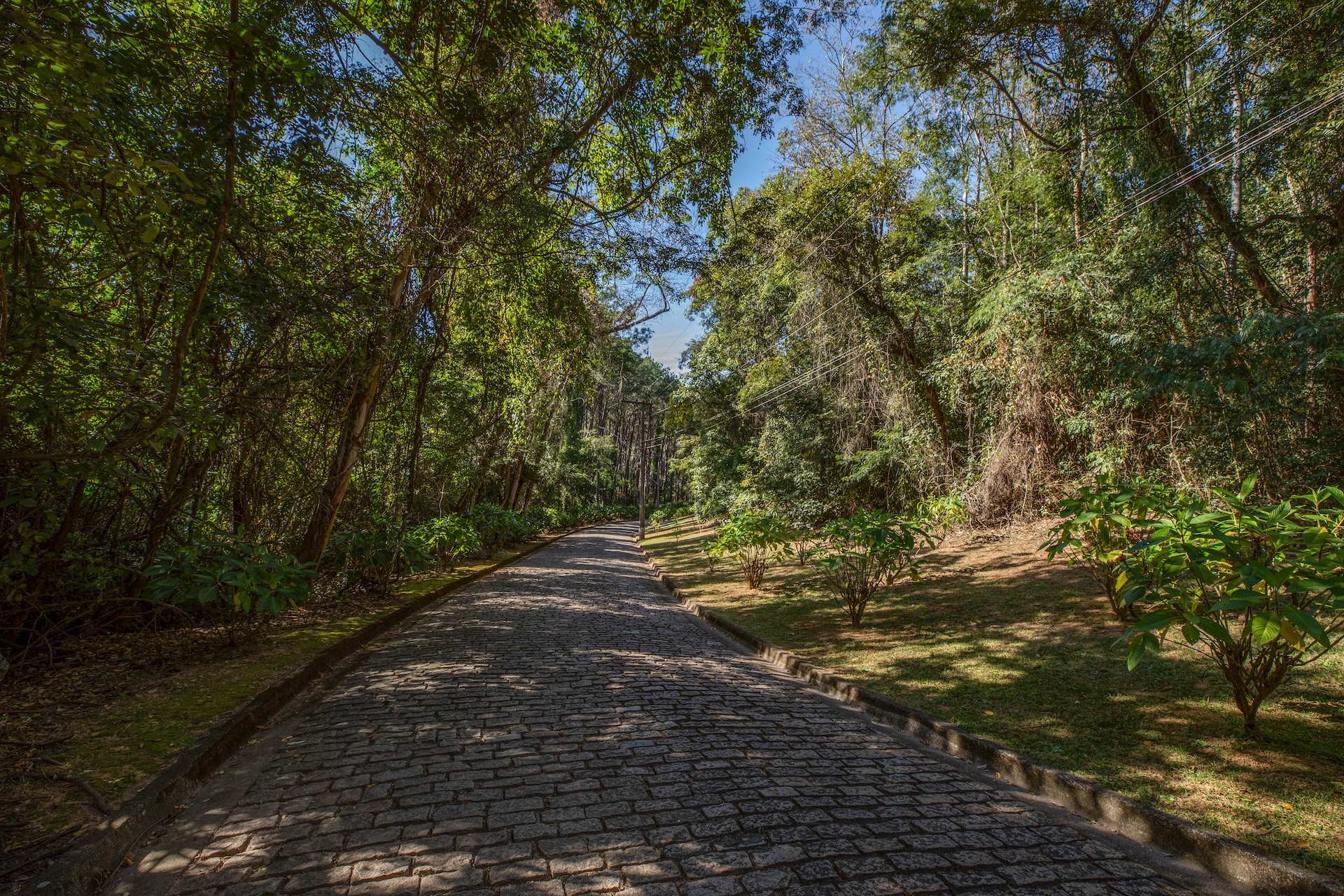 Vinhedo_MosteirodeSaoBento-2