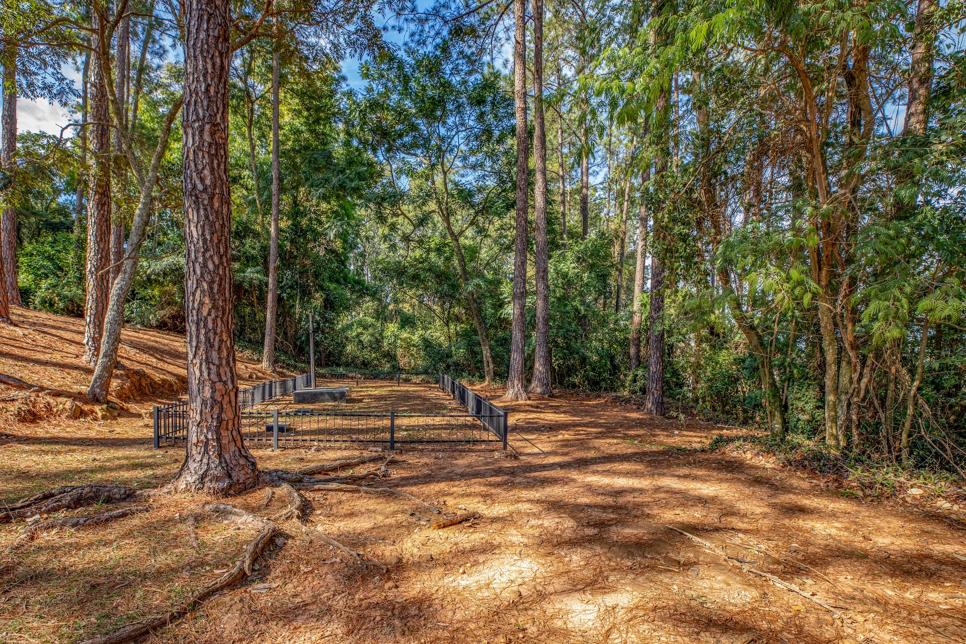 Vinhedo_MosteirodeSaoBento-26