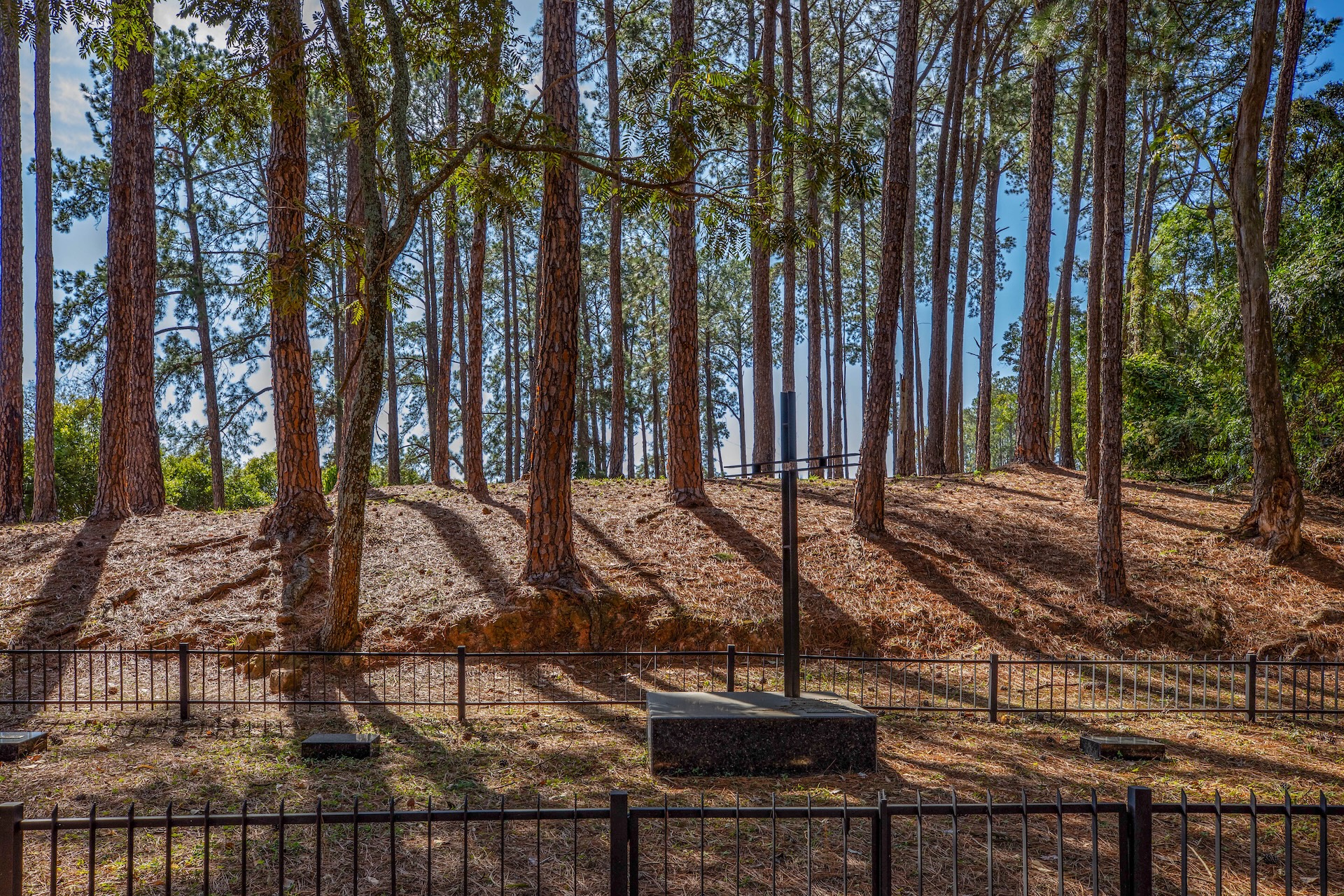 Vinhedo_MosteirodeSaoBento-27