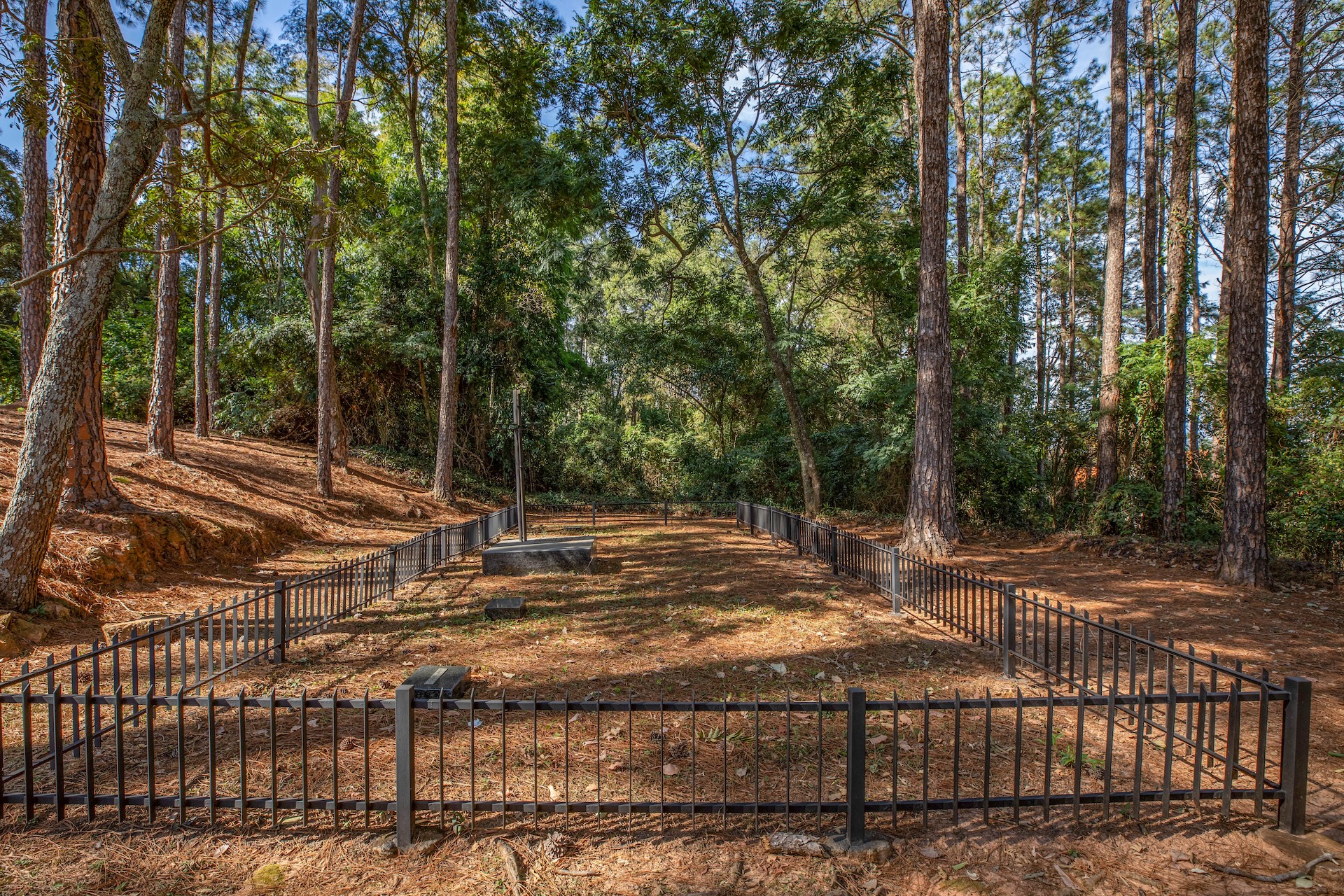 Vinhedo_MosteirodeSaoBento-28