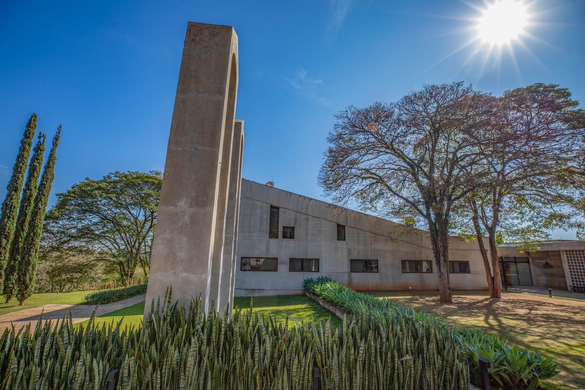 Vinhedo_MosteirodeSaoBento-6