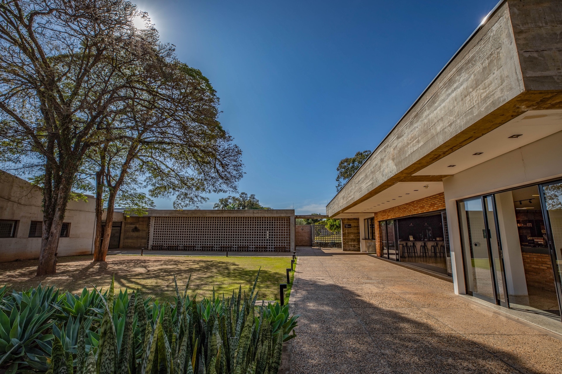 Vinhedo_MosteirodeSaoBento-7