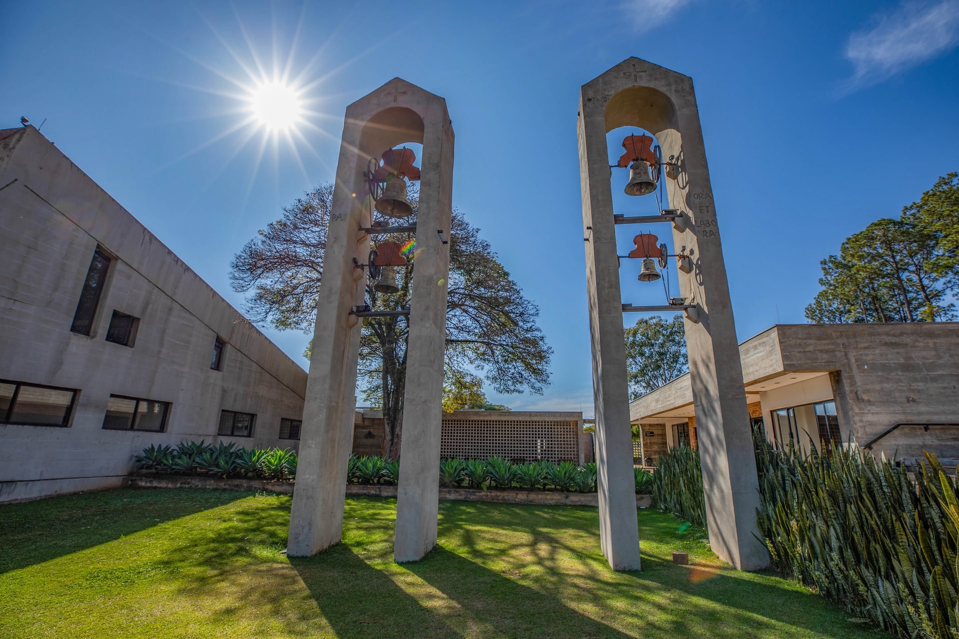 Vinhedo_MosteirodeSaoBento-8