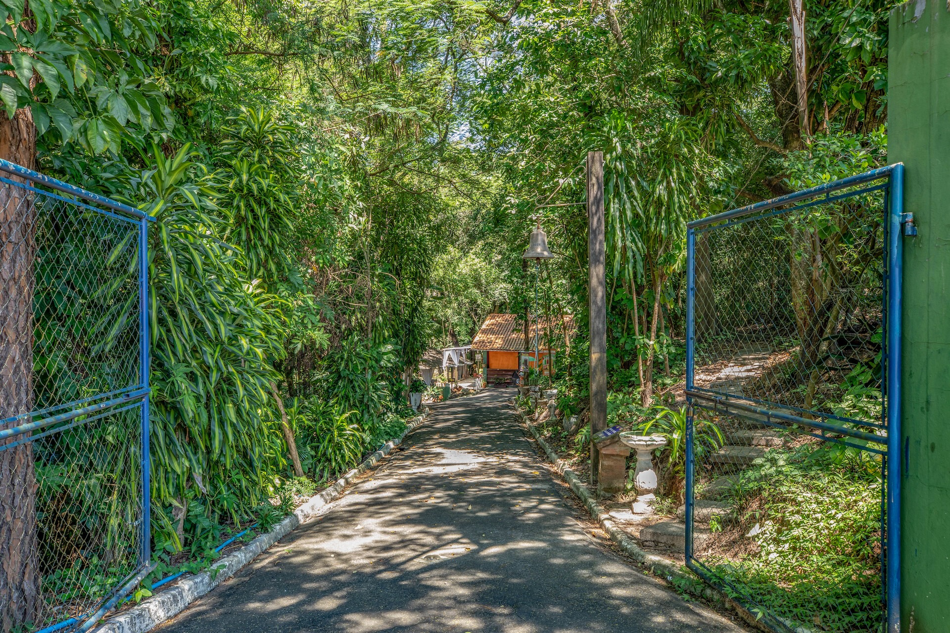 I1A3123TRATADA-Site-BAIXA