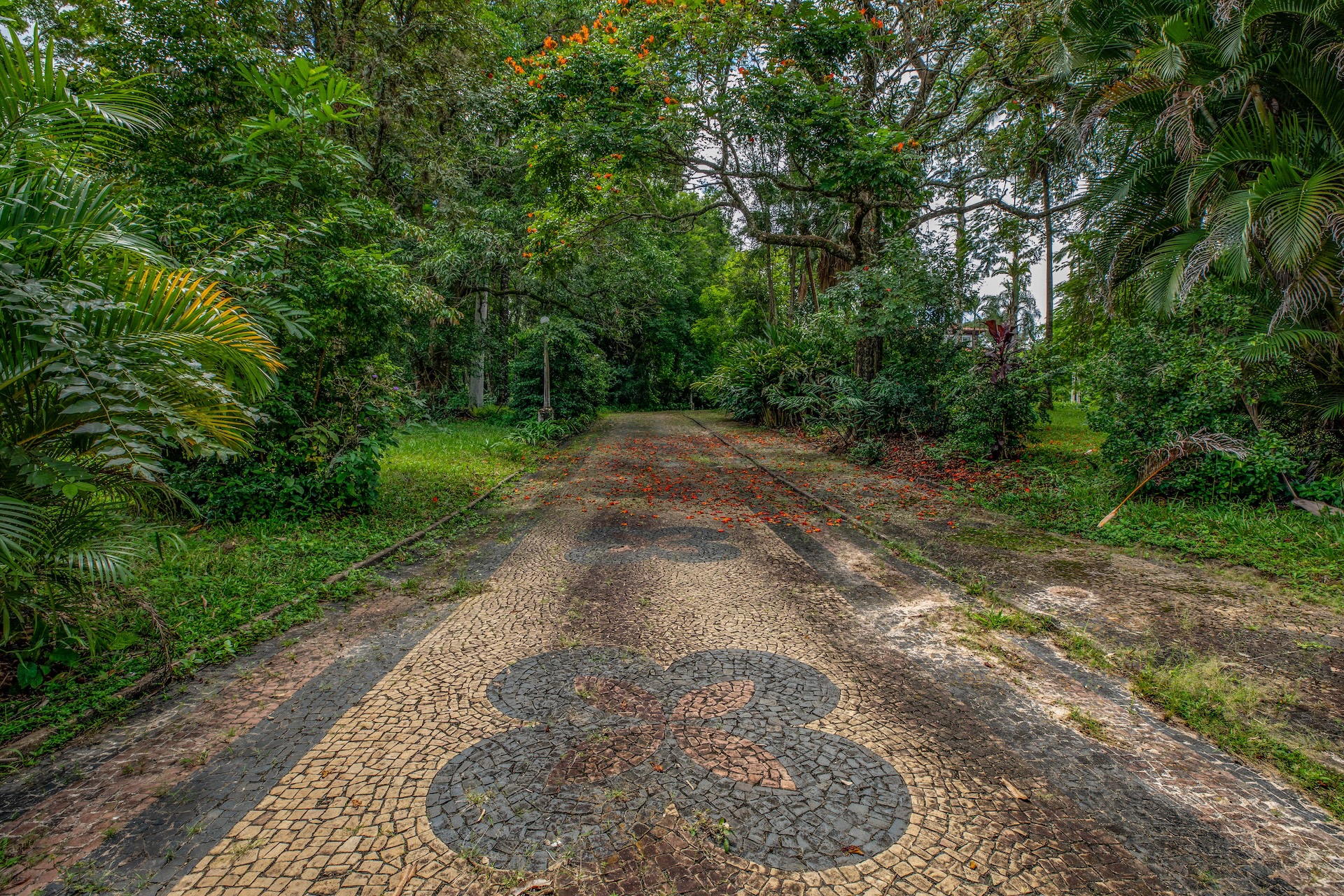 I1A3225TRATADA-Site-BAIXA