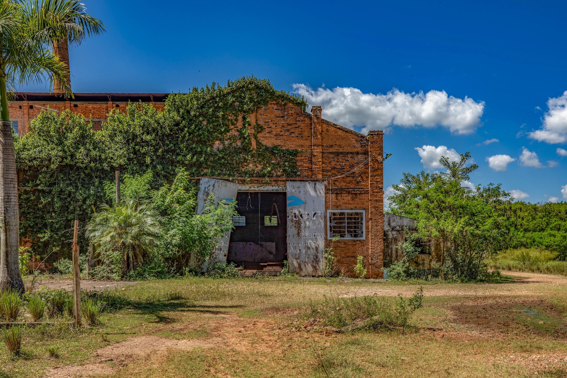 I1A3551Site-TRATADA-Site-BAIXA-1