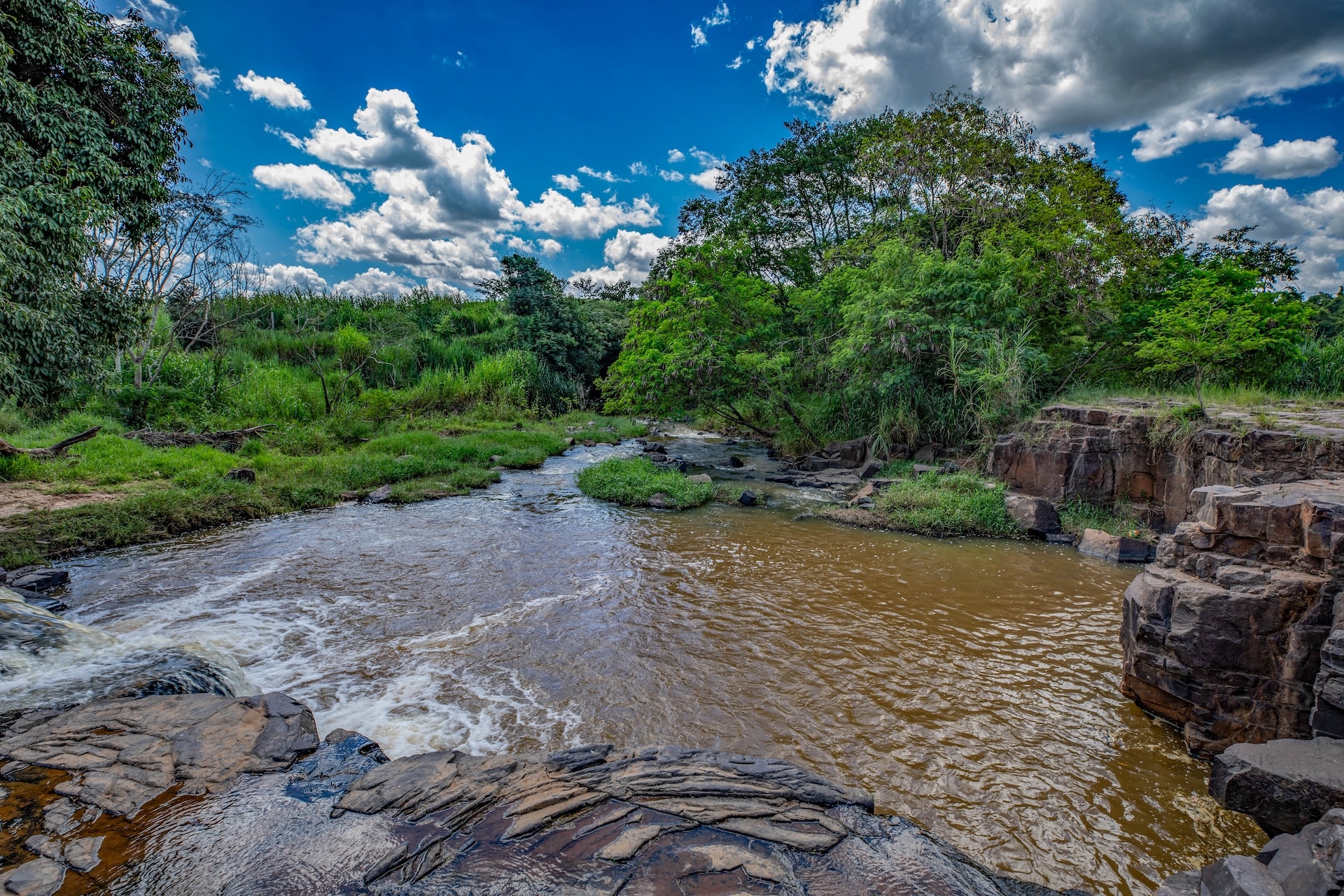 I1A3594Site-TRATADA-Site-BAIXA