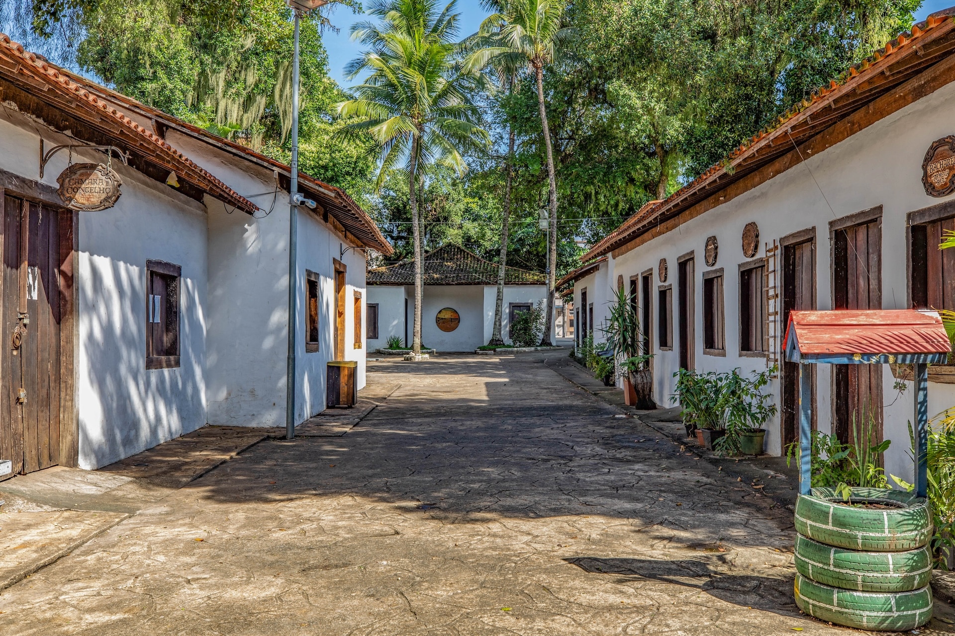 I1A4509TRATADA-BAIXA-1