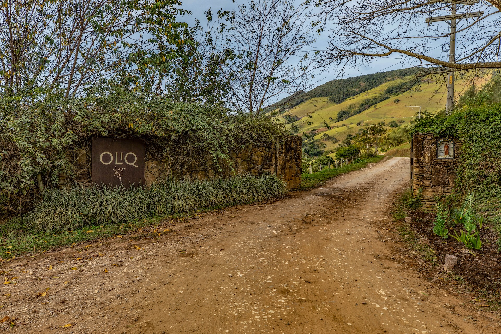 SaoBentodoSapucai_AzeitesOlivaisBrasileiros-12