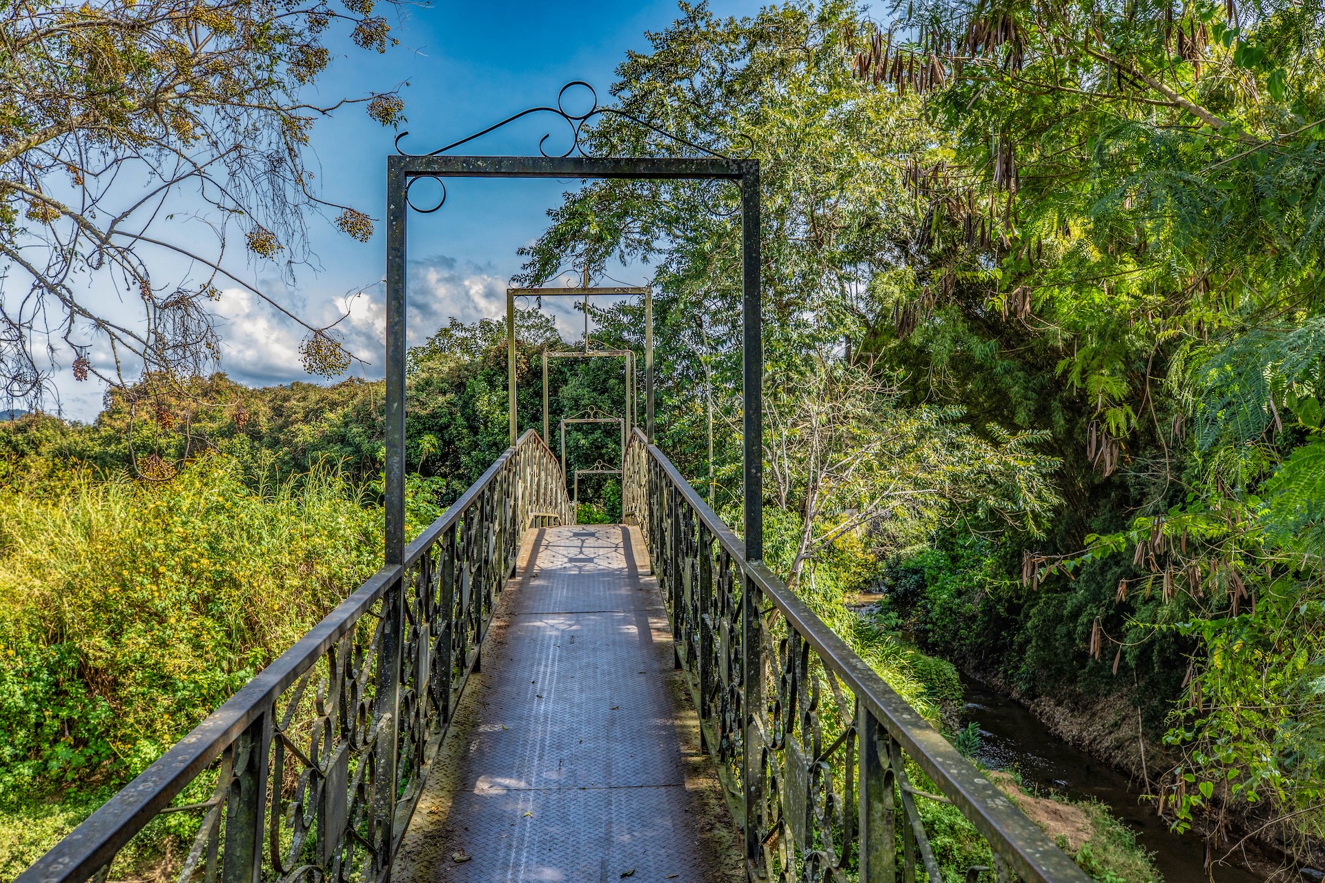 SaoBentodoSapucai_PassarelaGeraldoCamarada-6