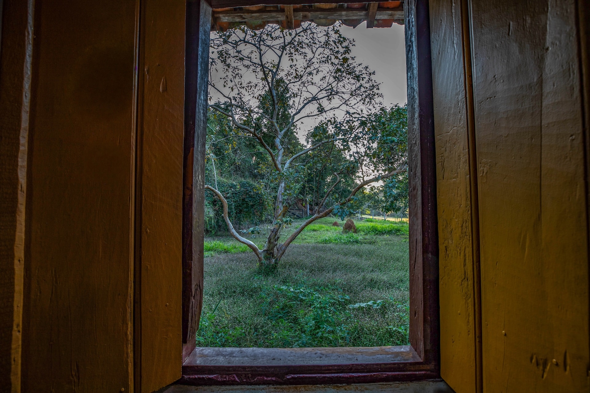 taubate_FazendaPastoGrande-10