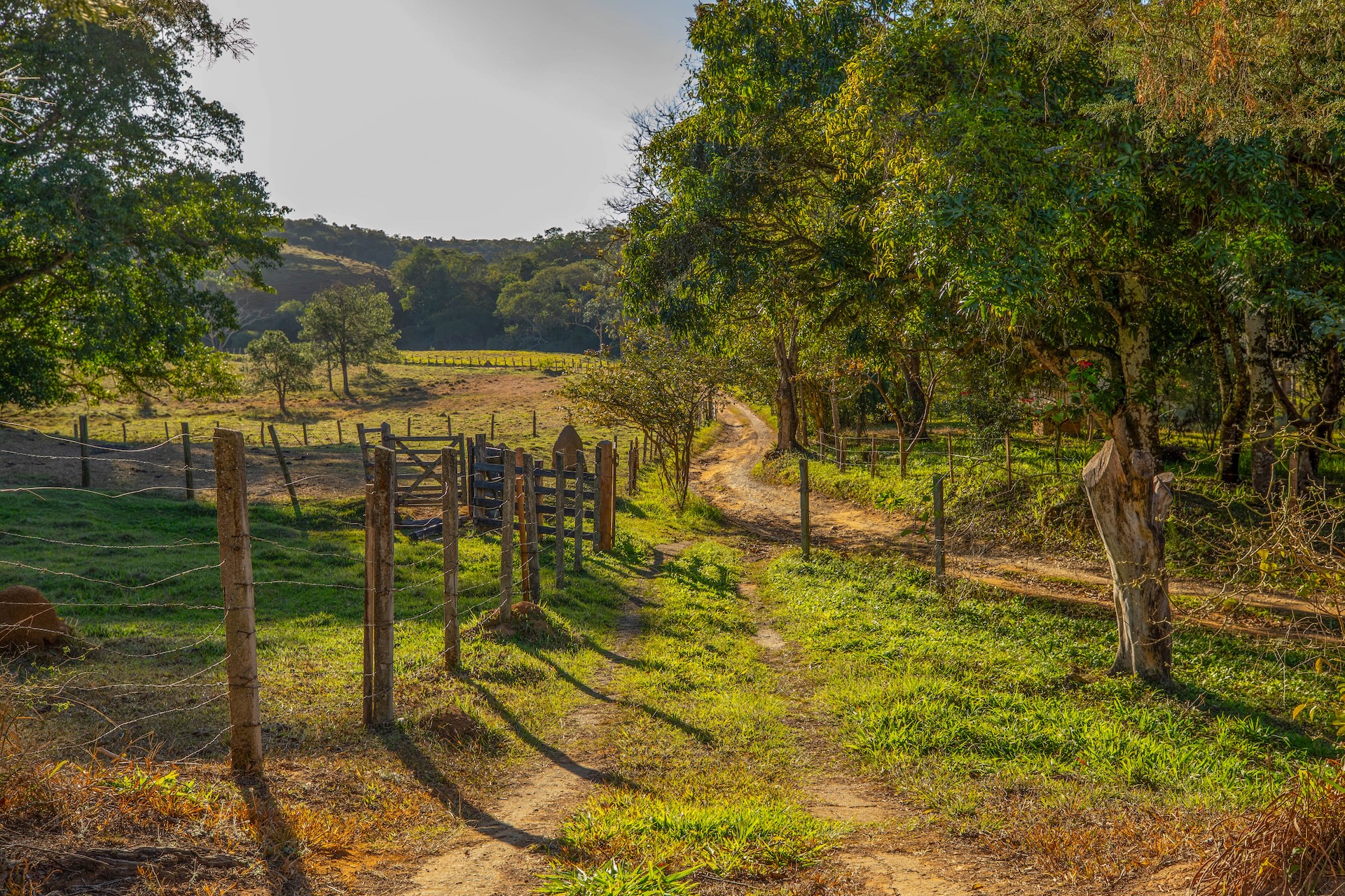 taubate_FazendaPastoGrande-12