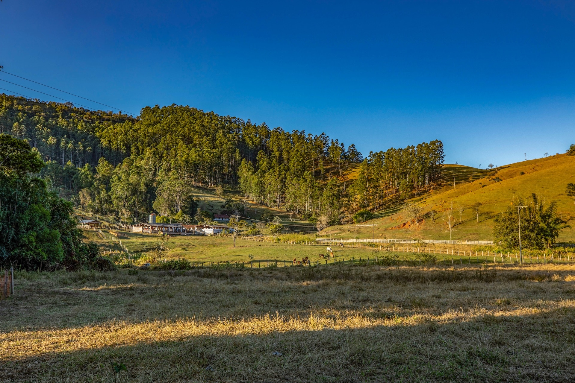 taubate_FazendaPastoGrande-20