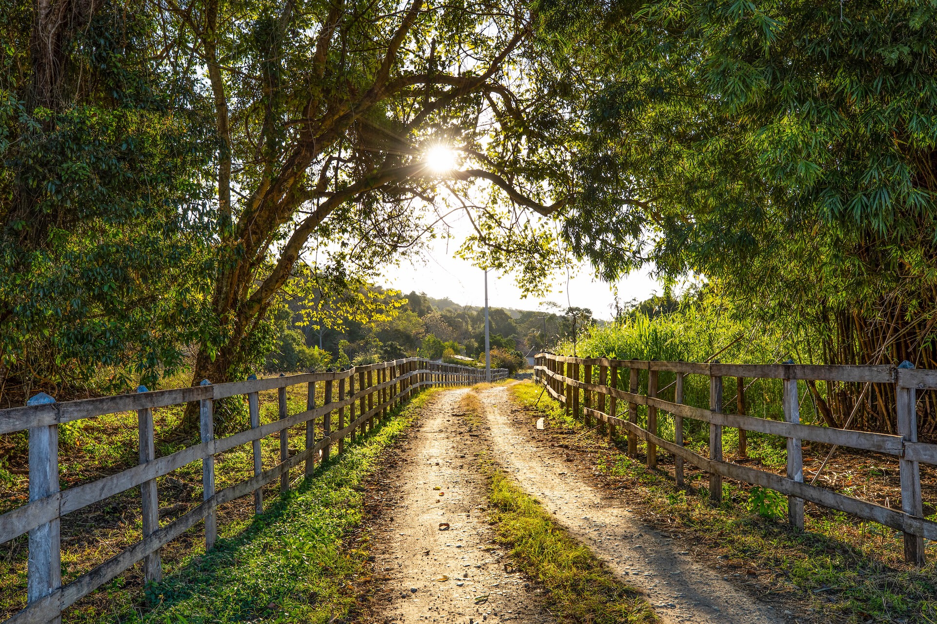 taubate_FazendaPastoGrande-21