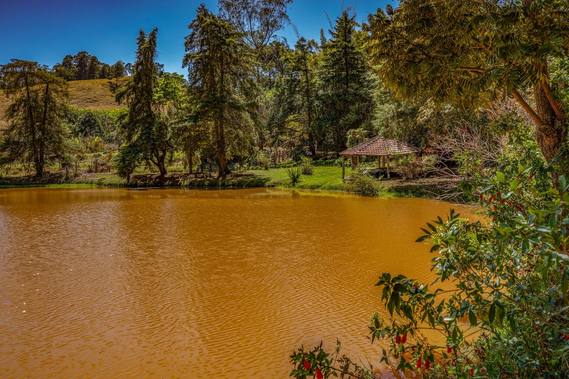 Joanopolis_ChacaraParoli-3