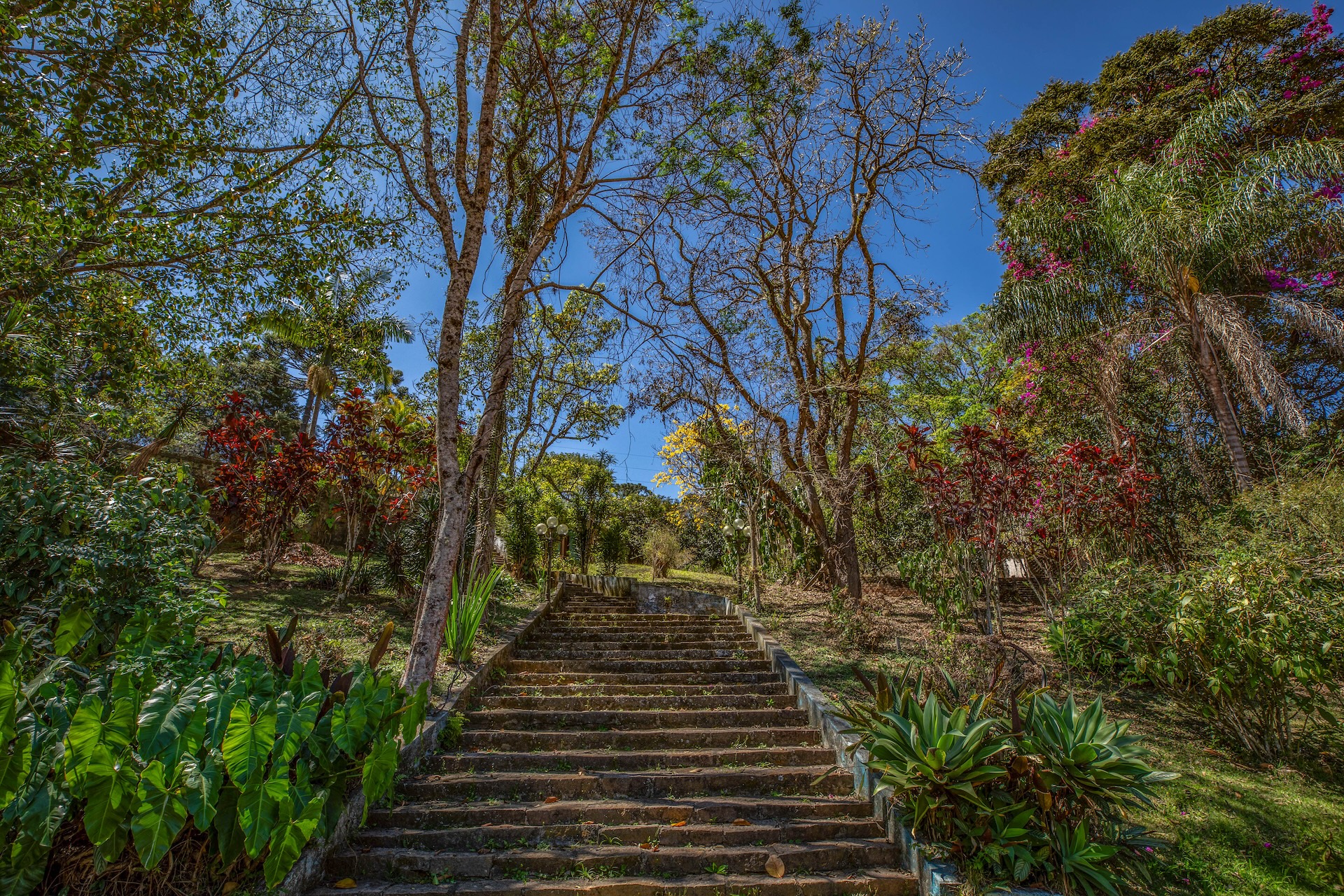 Joanopolis_ChacaraParoli-5