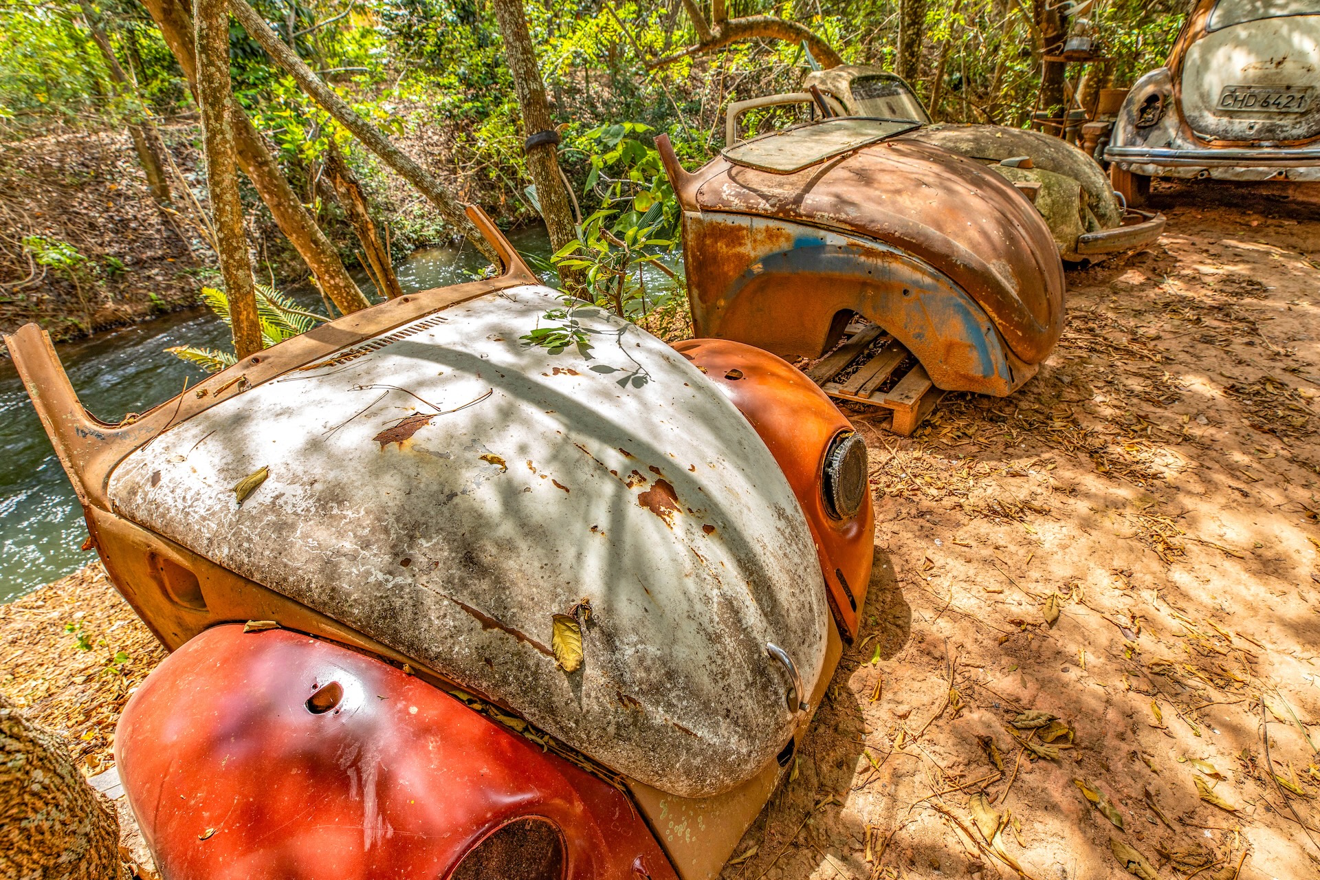 Piracaia_SalvaFusca-1