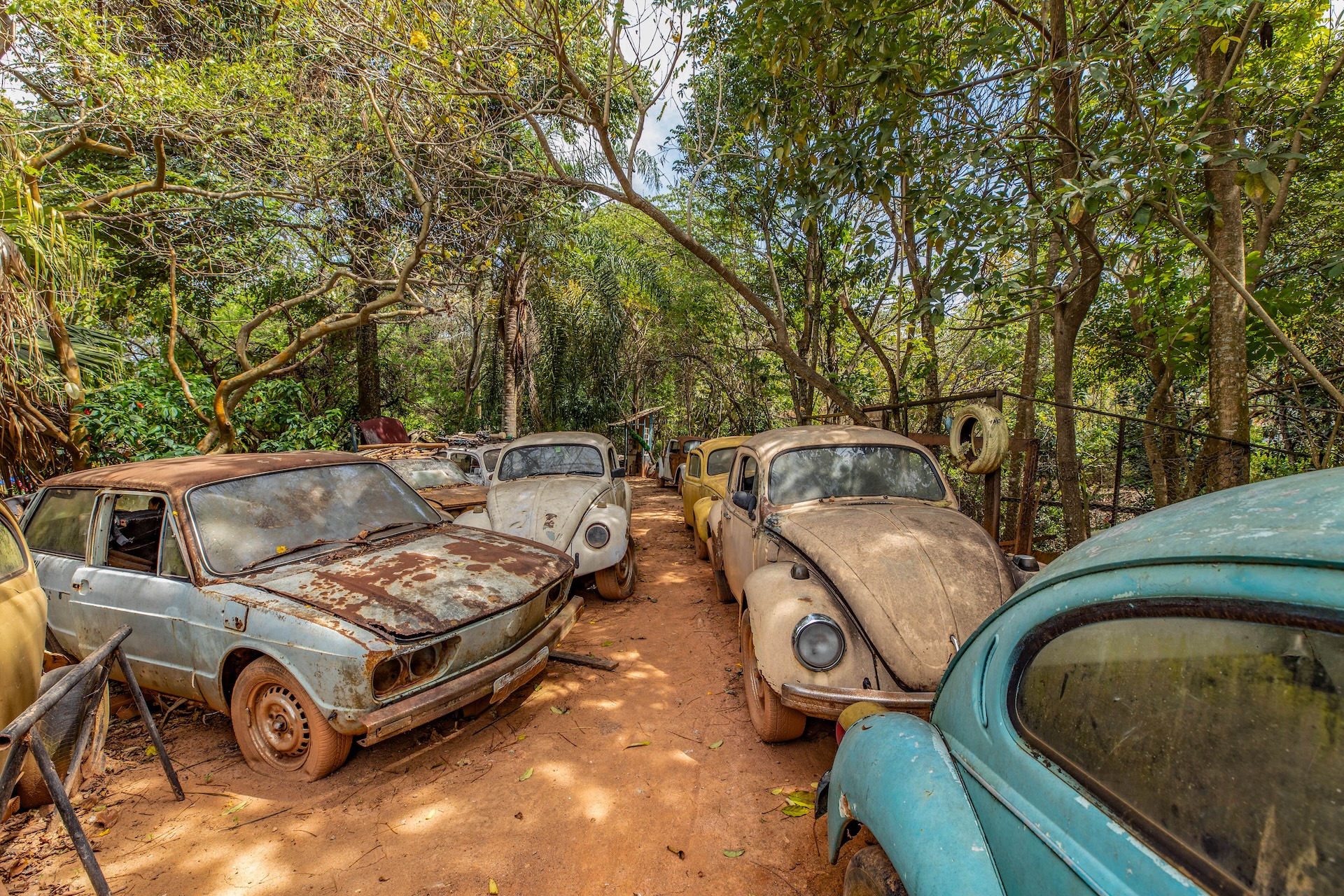 Piracaia_SalvaFusca-10