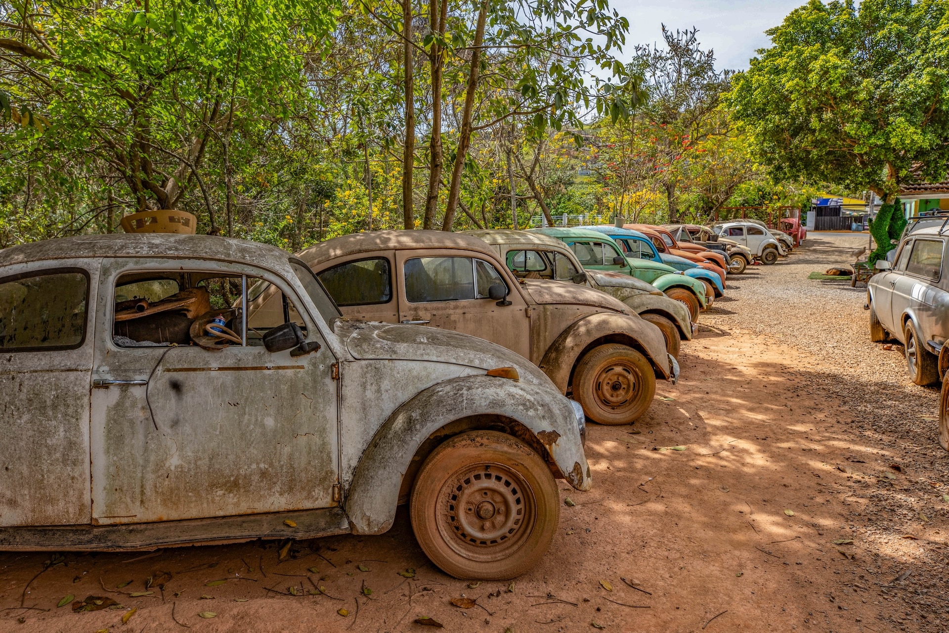 Piracaia_SalvaFusca-14