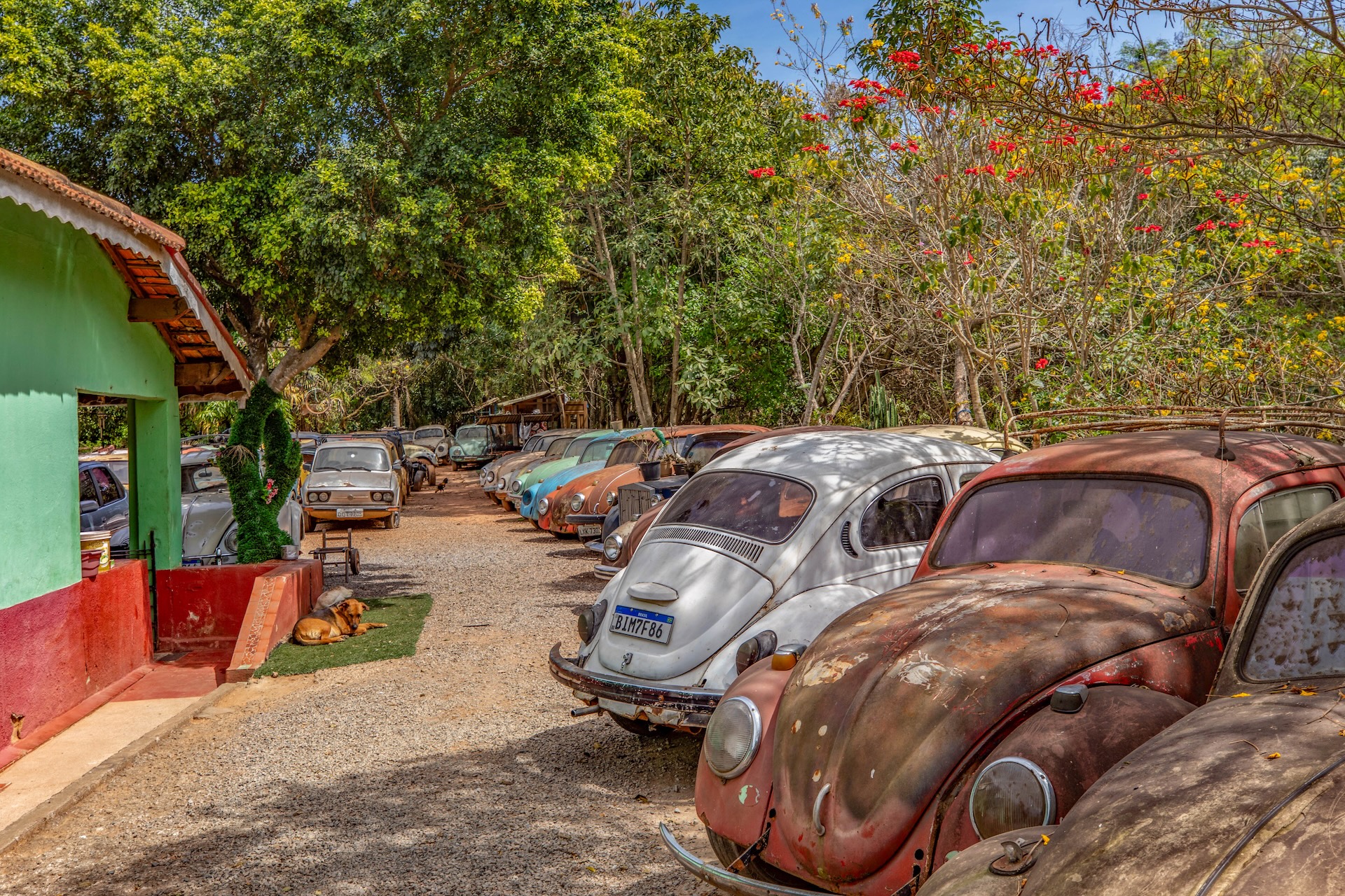 Piracaia_SalvaFusca-2