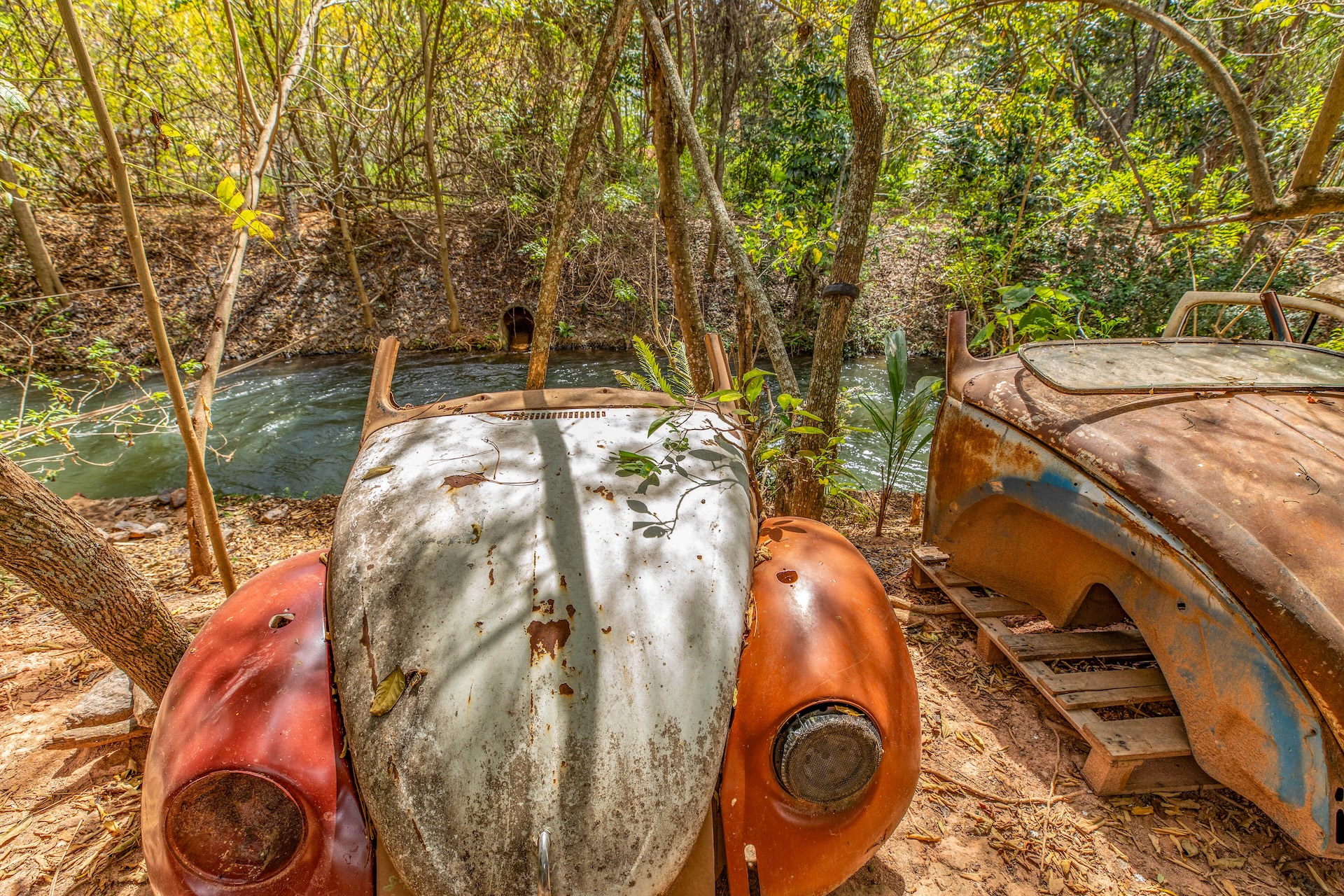 Piracaia_SalvaFusca-25