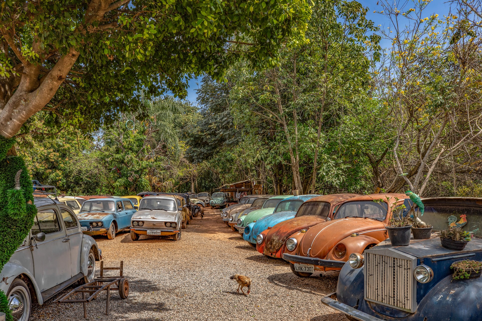 Piracaia_SalvaFusca-3